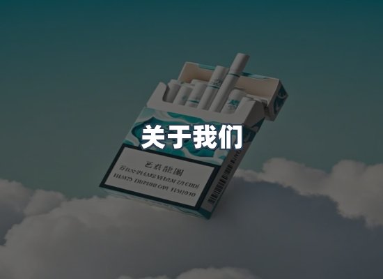 关于我们